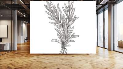 Rosemary branch on a light background isolated. Hand-drawn spicy herb for cooking. The concept of organic food. Vector illustration. Wall mural