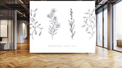 Set hand drawn curly grass and flowers on white isolated background. Botanical illustration. Decorative floral picture. Wall mural