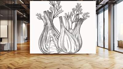 Two fennel roots in engraving style. Hand drawn plant for cooking healthy food. The concept of organic food. Vector vintage illustration on a light isolated background. Wall mural