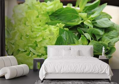 Different green fresh vegetables and herbs for healthy eating with Thai food, many types of fresh vegetables  Wall mural