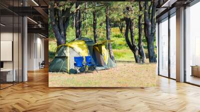 camping tent and a couple of chairs in a picturesque place among the pine trees Wall mural