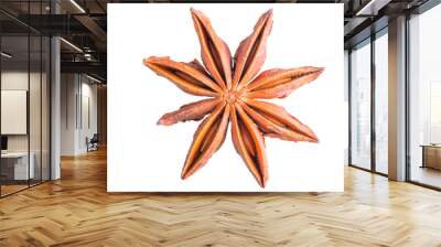 Dried anise spice on white background macro Wall mural