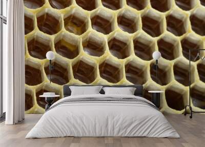 Fragment of honeycomb with full cells. Beekeeping and honey production image. Wall mural