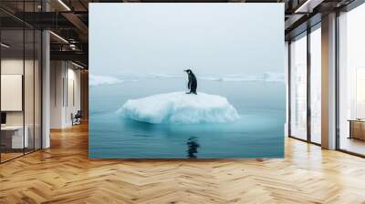 Penguin stranded on small iceberg in foggy Antarctic waters Wall mural