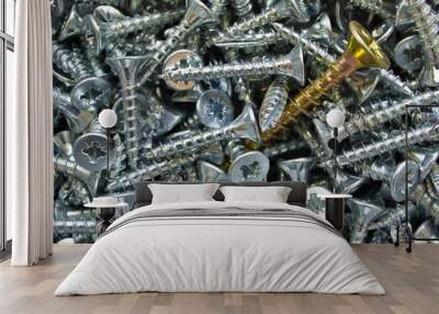 Group of wood  steel  screws  and one bronze screw. Close up macro, industrial background Wall mural