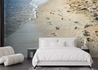 A Feet and footprints by the seashore in nature travel vacation background Wall mural