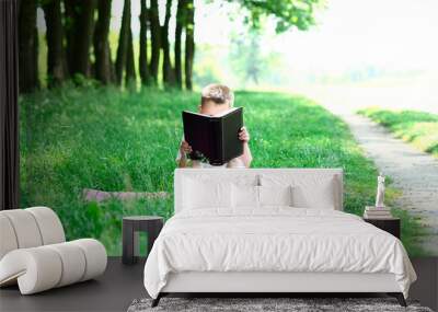 Boy reading bible outdoors Wall mural