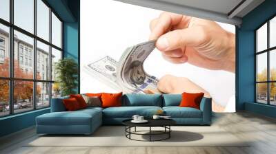 Business Money dollars in the hands on a white background Wall mural