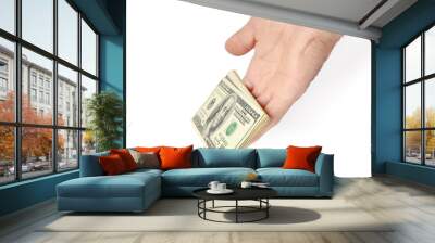 Business Money dollars in the hands on a white background Wall mural