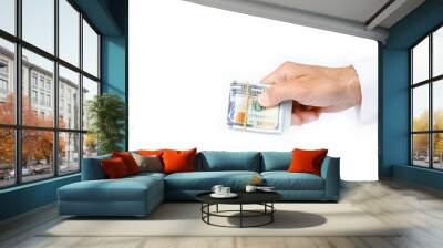 Business Money dollars in the hands on a white background Wall mural