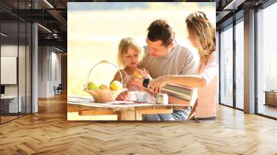 Family at picnic Wall mural