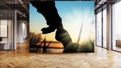 silhouette of hands of parent and child at sunset Wall mural