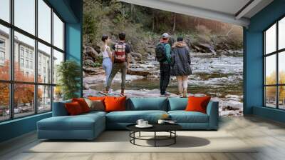 Back view on two couples at rocky fast mountains river standing hand in hand and enjoying view. Wall mural