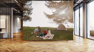 Two couples resting and having fun on top of mountain at tent. Camping concept. Wall mural