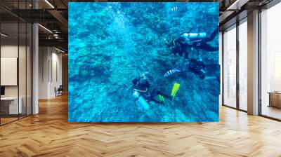 Scuba Divers swim in tropical sea at the coral reef in the Red Sea, Egypt.. Wall mural