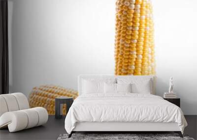 Two ears of sweet corn isolated on a white background.. Wall mural