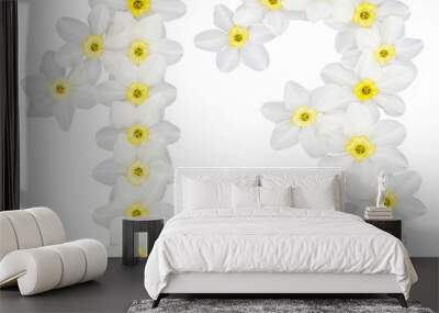 Numeral 13, thirteen, from natural white flowers of Daffodil (narcissus), isolated on white background Wall mural