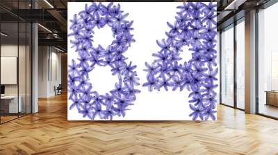 Numeral 84, eighty four, from natural flowers of hyacinth, isolated on white background Wall mural