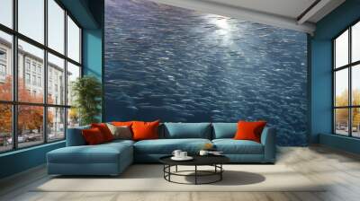 school of fish Wall mural