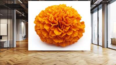 Mexican cempasuchil flower isolated on white background. Wall mural