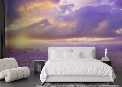 Beautiful image of lavender field over summer sunset landscape. Wall mural