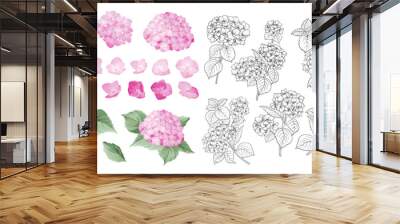 Hand drawn style set of white hydrangea, Botanical illustration of hortensia flowers isolated on a white background. Wall mural