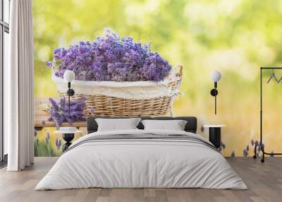 Harvesting of lavender. A basket filled with purple flowers stands on a wooden table on a background of green lavender fields. Wall mural