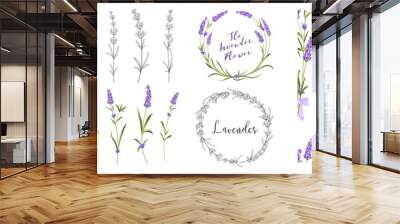 Set of differents lavender elements on white background. Wall mural