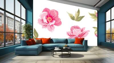 Set of differents peonies on white background. Wall mural