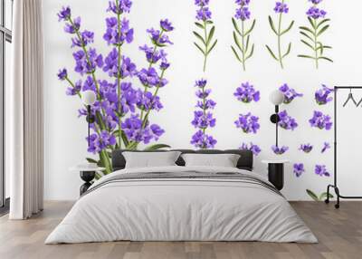 Set of lavender flowers elements. Collection of lavender flowers on a white background. Vector illustration bundle. Wall mural