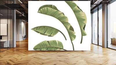 Set of tropical botanical foliage plants green palm banana. Wall mural