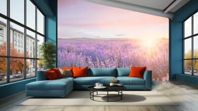 Sunset sky over a summer lavender field. Sunset over a violet lavender field in Provence, France. Wall mural