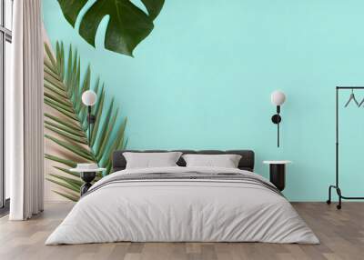 Top view of horisontal flatlay with green palm leaf on color paper. Diagonal line of green and pink colors. Wall mural