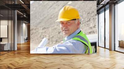 Businessman in hard hat smiling in quarry Wall mural