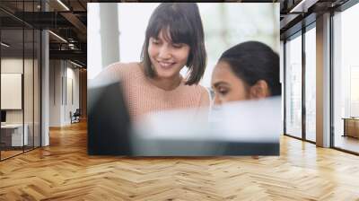 Female college students using computer Wall mural