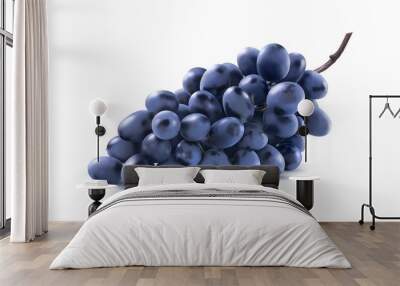 blue grapes bunch no leaf isolated on white background Wall mural