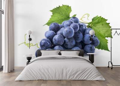 blue wet grapes bunch isolated on white background Wall mural