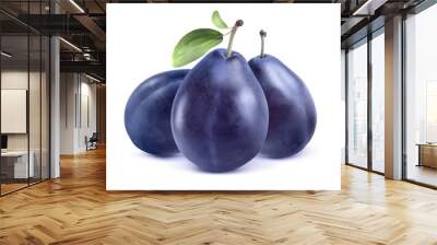 three blue plums isolated on white background Wall mural