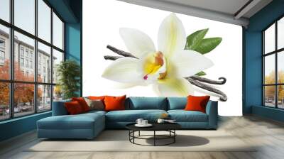 Vanilla flower sticks and leaves isolated Wall mural