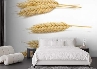 Wheat ears set 2 isolated on white background Wall mural