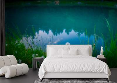 Blue spring lake - green grass, beautiful photo, edit space Wall mural