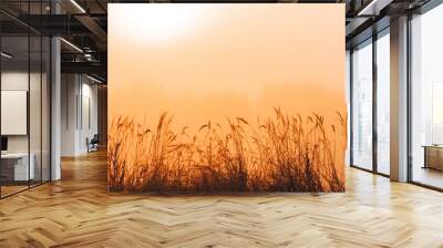 Grass and orange morning mist, wallpaper or background, edit space Wall mural