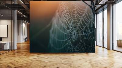 Spider web detail in morning light Wall mural