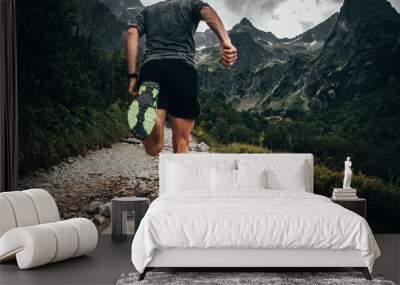 Trail running in mountains Wall mural