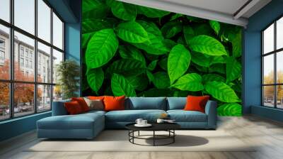 Creative tropical green leaves,for background,vintage tone. Wall mural