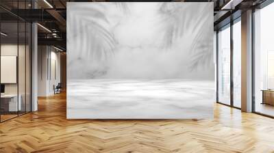 Empty marble white gray color with leaf plant shadow on wall studio background. Wall mural