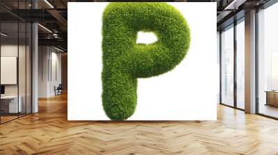 Grass font 3d rendering letter P Wall mural