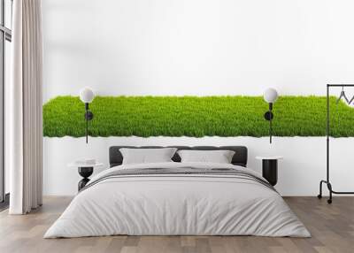 Small surface covered with grass, grass podium, lawn background 3d rendering Wall mural