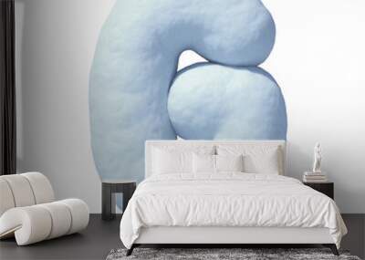 Snow font 3d rendering letter G Wall mural