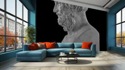 White plaster statue bust of the philosopher Homer Wall mural